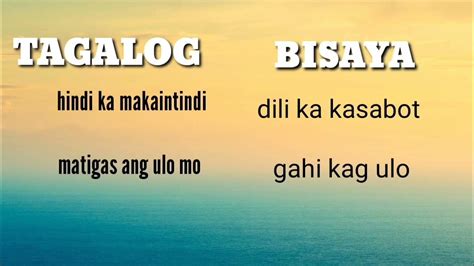 piece of shit in tagalog|Translate piece of shit in Tagalog with examples .